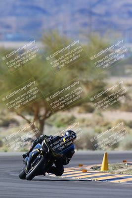 media/Apr-14-2024-SoCal Trackdays (Sun) [[70f97d3d4f]]/1-Turn 5 Tree of Life (920am)/